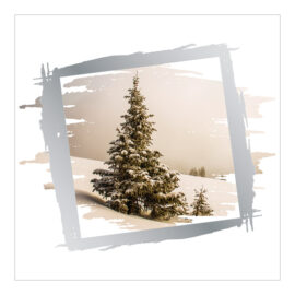 CH-11620_Xmas_Folie_Serie_iDruck-7_PK3 Weihnachtskarte Tannenbaum im Schnee mit Silberrahmen