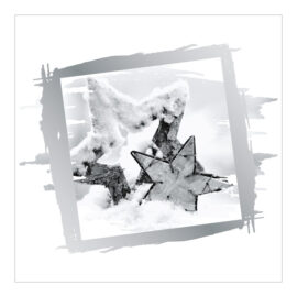 CH-11820_Xmas_Folie_Serie_iDruck-9_PK3 Weihnachtskarte Weihnachtssterne im Schnee mit Silberrahmen