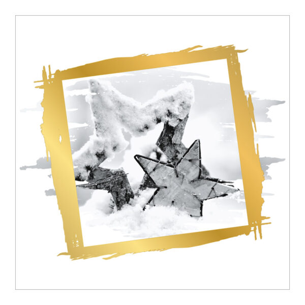 CH-11920_Xmas_Folie_Serie_iDruck-10_PK3 Weihnachtskarte Weihnachtssterne im Schnee mit Goldrahmen
