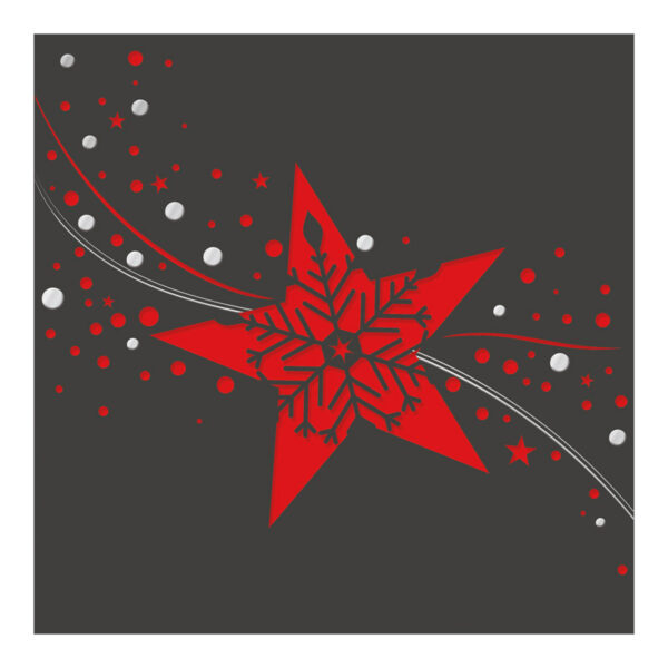 CH-4420_1-201905-C_970-8349_rot_PK4 Weihnachtskarte mit Stern und Schneekristall gestanzt