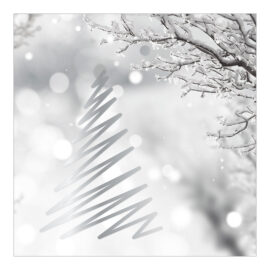 CH-7721 Weihnachtskarte «Silberbaum mit verschneitem Ast»
