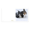 CH-500422 Katze mit Hund im Schnee Aaussenseiten