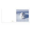 CH-500522 Katze weiss im Schnee Aussenseiten