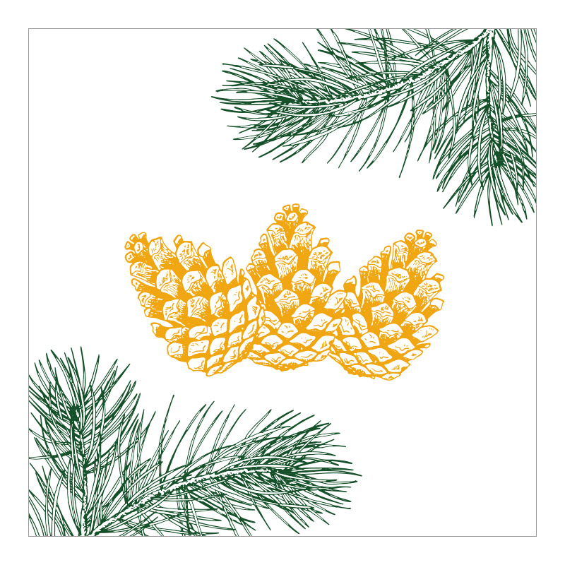 CH-6624 Tannenzapfen und Tannenzweig