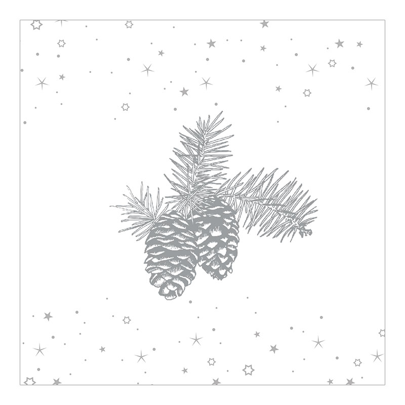 CH-6525 Weihnachtskarte «Silberner Tannenzapfen und Zweig»