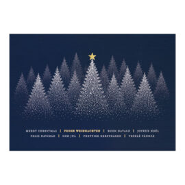 CH-7026_970-8770 Weihnachtskarte Exklusiv «Verschneiter Winterwald mit Goldstern» CH-7026_970-8770 Weihnachtskarte Exklusiv «Verschneiter Winterwald mit Goldstern»
