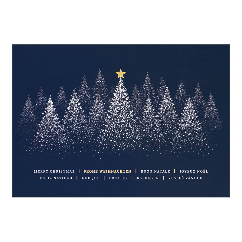 CH-7026_970-8770 Weihnachtskarte Exklusiv «Verschneiter Winterwald mit Goldstern»